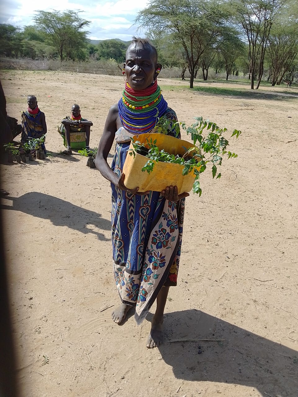 WASH & Water Governance